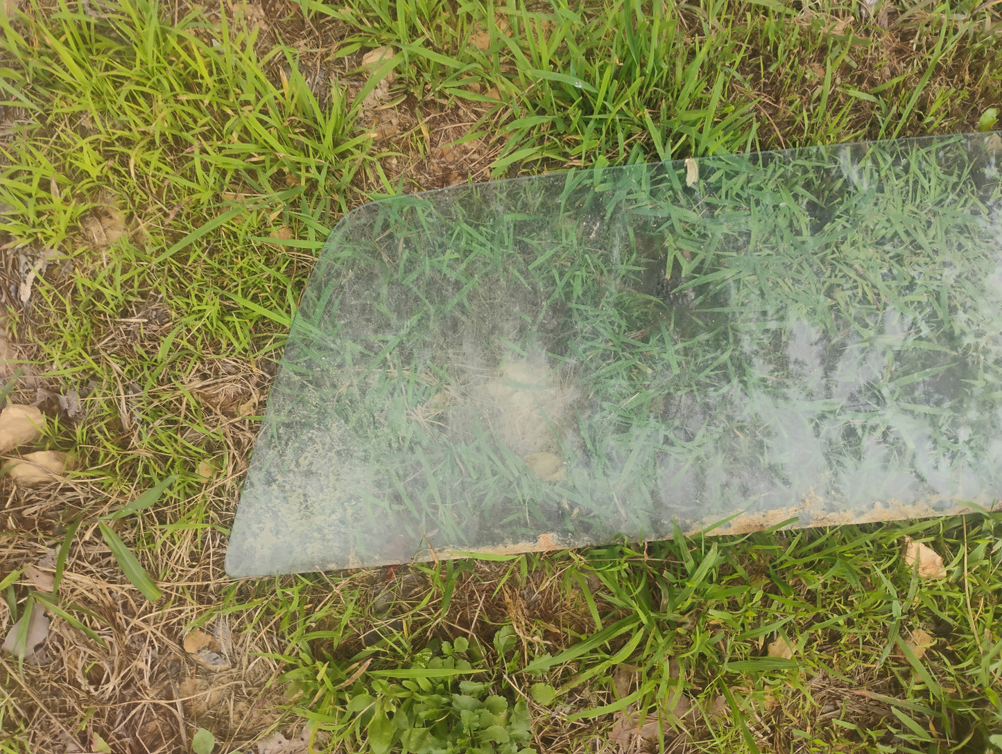 1973-1987 Chevy GMC Truck Rear Back Glass Window C10 K10 Squarebody OEM Factory